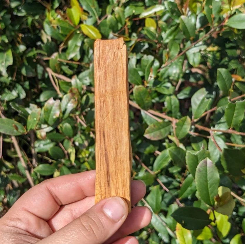 Palo Santo