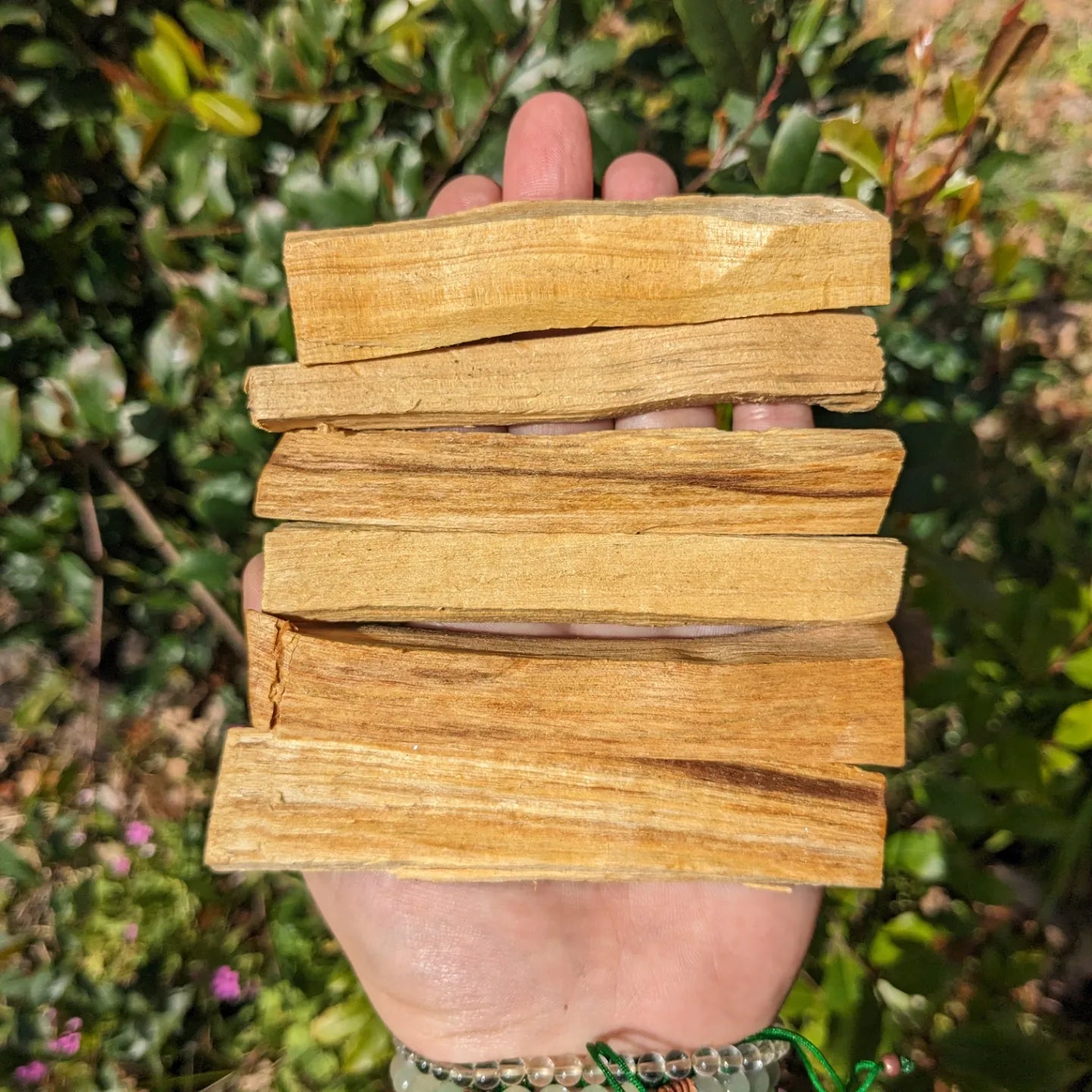 Palo Santo